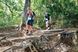 BIB: 
                            <button type="button" onclick="openModal(27722001)" class="btn btn-primary btn-sm float-right btn-popup" data-toggle="modal" data-target=".modal-high-quality">
                        <i class="fas fa-shopping-cart"></i> Add to Cart
                    </button>
                                            <button type="button" onclick="isThisMe(27722001, true)" class="btn btn-success btn-sm float-right btn-popup btn-isme hidden" data-toggle="tooltip" data-placement="bottom" title="นี่คือรูปของคุณใช่ไหม คลิกที่นี่เพื่อเอาเข้าอัลบั้ม">
                        <i class="fas fa-plus"></i> Add to album
                    </button>
                    <button type="button" onclick="isThisMe(27722001, false)" class="btn btn-warning btn-sm float-right btn-popup btn-isnotme hidden">
                        <i class="fas fa-ban"></i> Remove from album
                    </button>